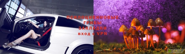 круглые Алексеевка