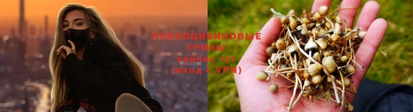 круглые Алексеевка