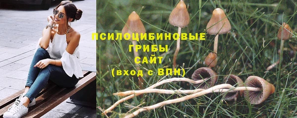 марки lsd Алзамай